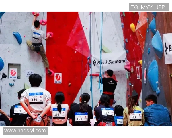 攀岩之巅：深入了解上海攀岩队的卓越实力与成就