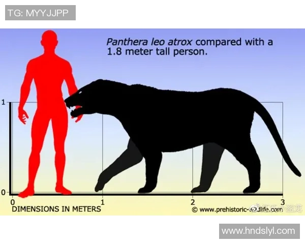 美洲狮与阿特拉斯的生存之争与生态平衡探讨