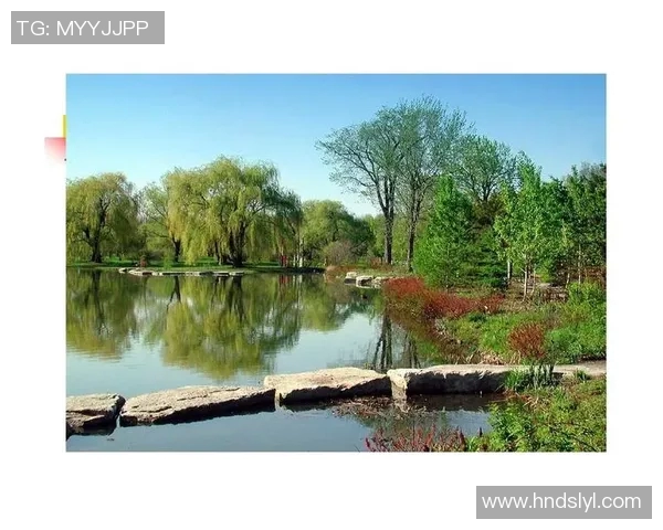 鸟栖沙岩与清风拂面之间的自然和谐与人文交融探讨 鸟栖沙岩与清风拂面之间的自然和谐与人文交融探讨