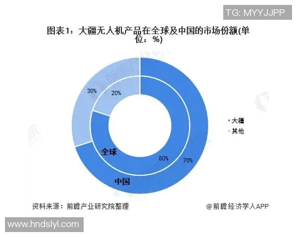 专业分析:LNG如何通过快速策略在市场中占据优势 专业分析:LNG如何通过快速策略在市场中占据优势