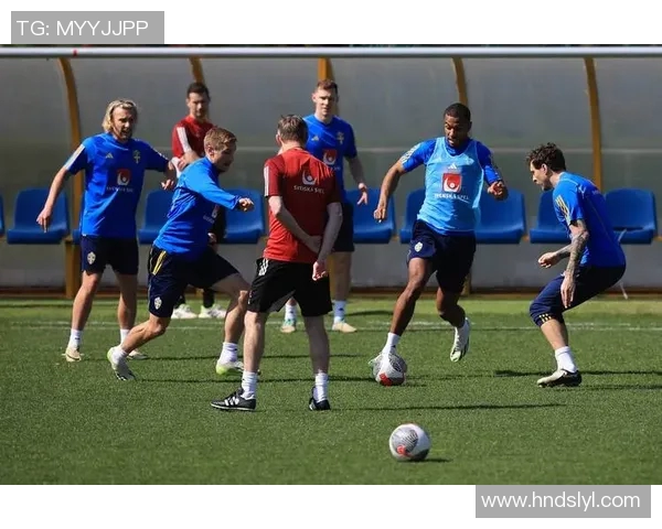 瑞典与法国足球友谊赛精彩回顾及赛后分析六月份的对决