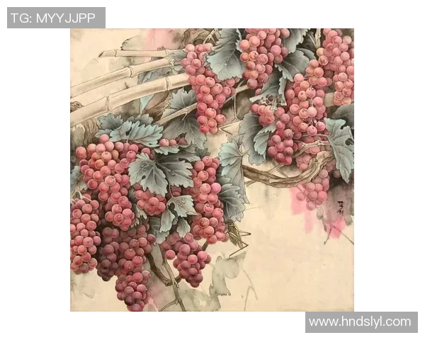 深度对话吴静：从排球场到人生舞台的奋斗与成长