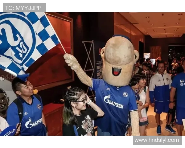 沙尔克与沃尔夫在2017年的精彩对决回顾与分析