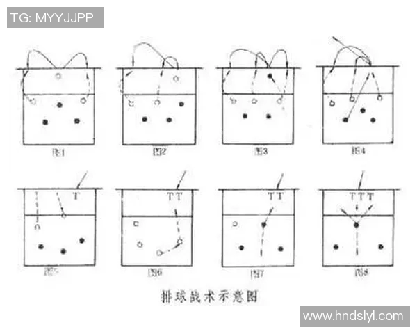 广州排球队进攻体系解析：排球战术的创新与实践探讨